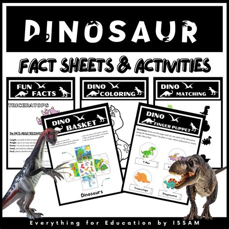 vdigx fact sheet.